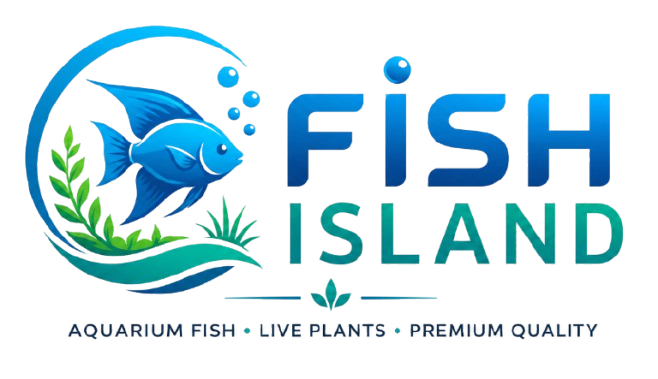 Fish Island