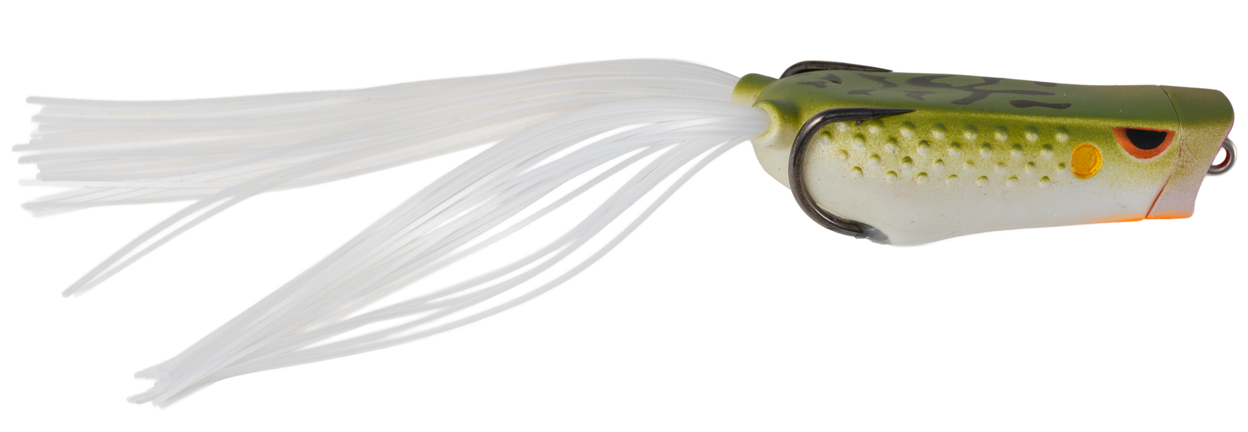POPPING FROG - Image 9