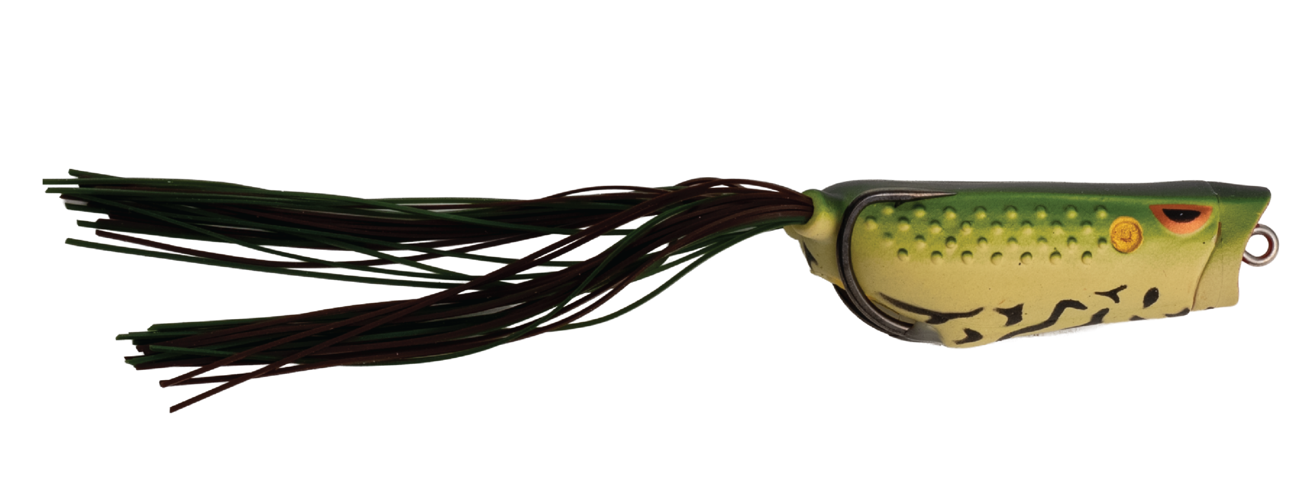 POPPING FROG - Image 10