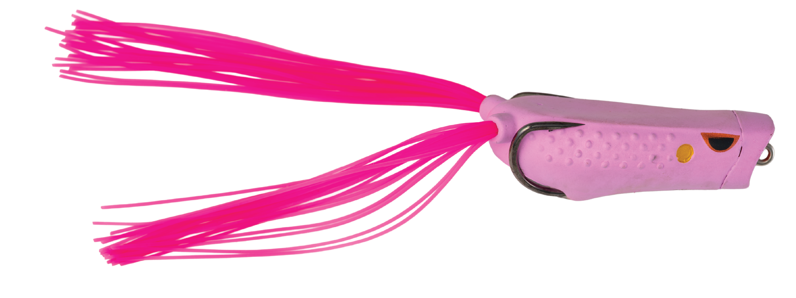 POPPING FROG - Image 5