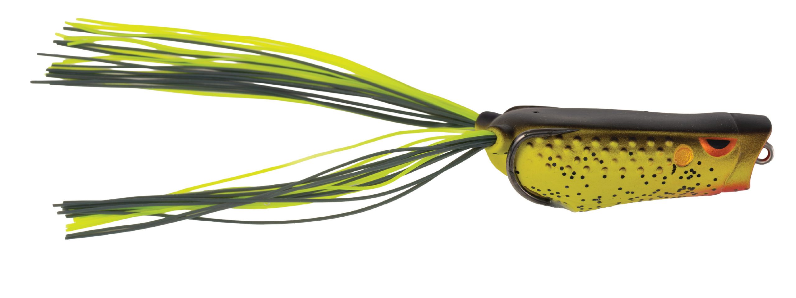 POPPING FROG - Image 6